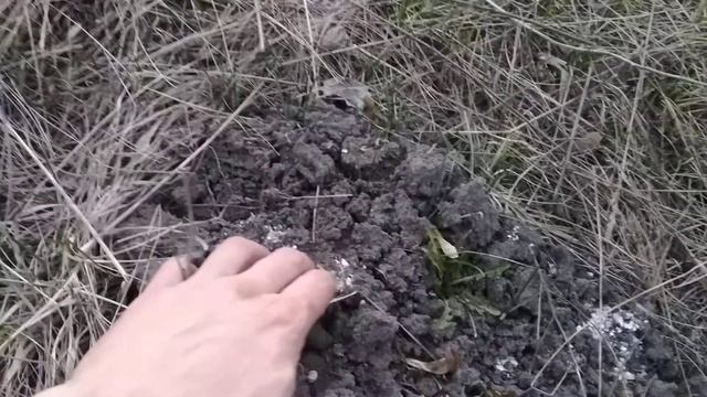 Чашин курган. Как он изменился за год. смотреть онлайн