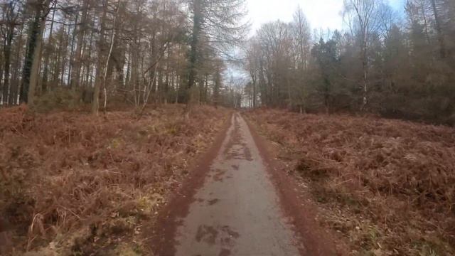 FIRST PERSON VIEW Workout In The NIKE ZoomX STREAKFLY - FAST Undulating FARTLEK WORKOUT | FOD Runne смотреть онлайн
