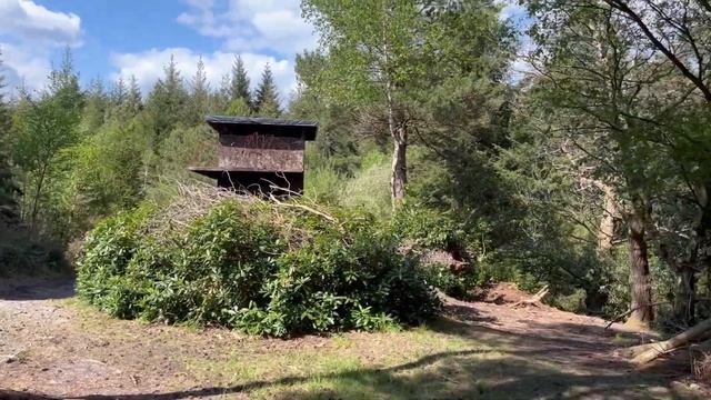 Delta making their way from the tower to firebase Charlie смотреть онлайн