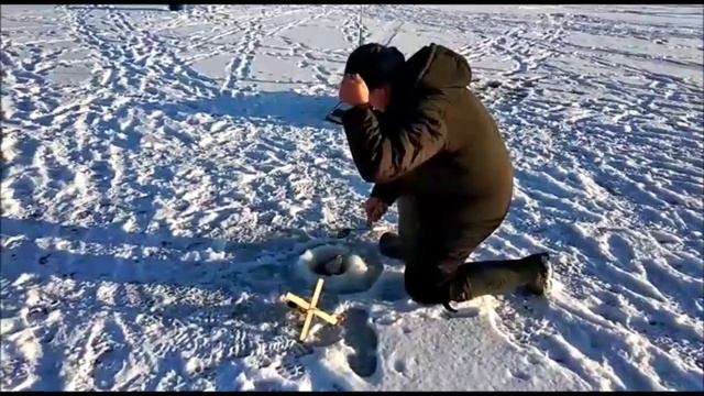 Мороз и солнце - клёв чудесный! Клёвое место д.Савельево. 3 сектор. смотреть онлайн