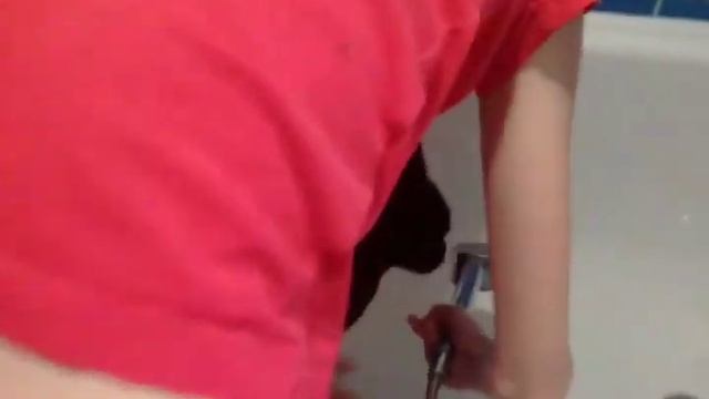 Как мыть кота? смотреть онлайн