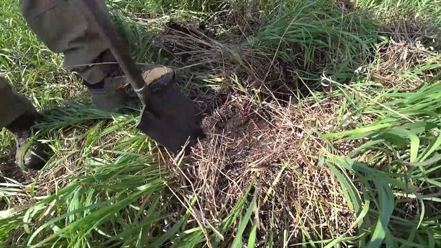 ОГО НАШЁЛ! ОДИН РЫВОК И ЗАРПЛАТА В КАРМАНЕ. Коп металлолома до меня здесь не копали. смотреть онлайн