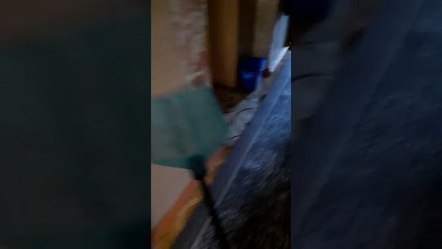 пацан пытается убить муху смотреть онлайн