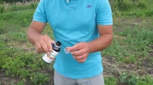 СПАСАЕМ ПОДМОРОЖЕННЫЙ КАРТОФЕЛЬ.