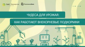 Чудеса для урожая: как работают внекорневые подкормки