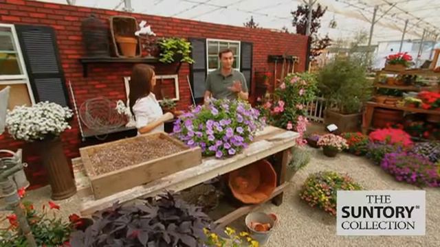 Video Catalog For Suntory Flowers смотреть онлайн