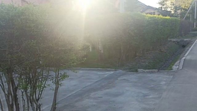 Прогулка. смотреть онлайн