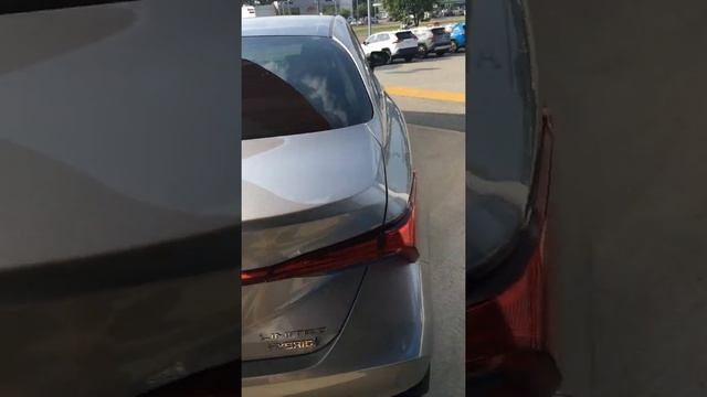 2020 Avalon Limited- Ashleigh смотреть онлайн