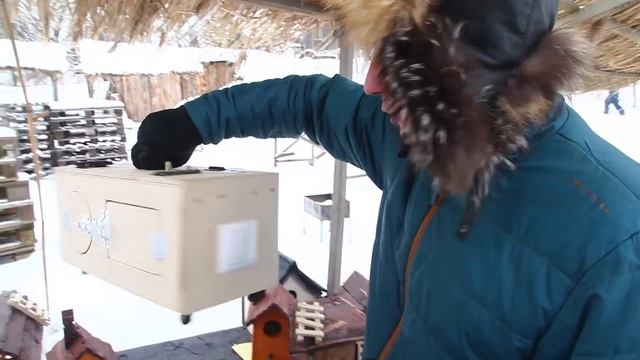 Масленица в Ломоносовском районе смотреть онлайн