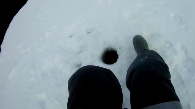 РЫБАЛКА В НИЖНЕМ ТАГИЛЕ И ЕГО ОКРЕСТНОСТЯХ!!! ПОСТАВИЛИ ЖЕРЛИЦЫ И ВОТ ЧТО ВЫШЛО! РЫБАЛКА НА ЖЕРЛИЦЫ смотреть онлайн