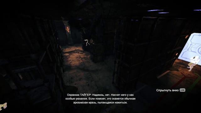 Batman: Arkham City - Gameplay Walkthrough Part 14 - TIGER storage I Хранилище ТАЙГЕР смотреть онлайн