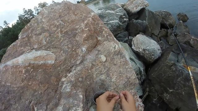 Уловистая рыбалка на Обском Водохранилище! смотреть онлайн