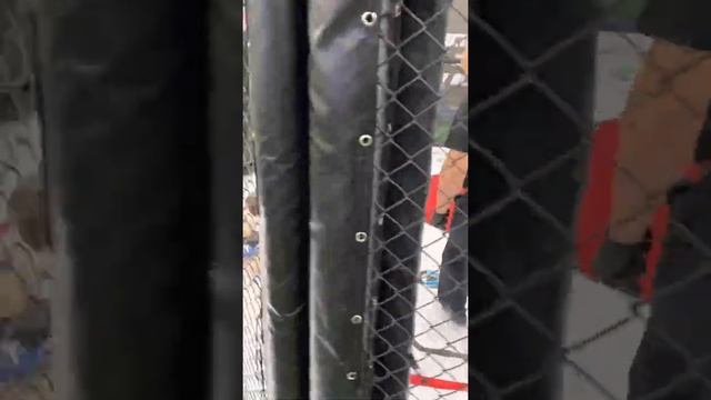 Тулеубаева Жания!!! Чемпионат Республики Казахстан по ММА!!! 05.06.2022 г.Костанай!!! смотреть онлайн