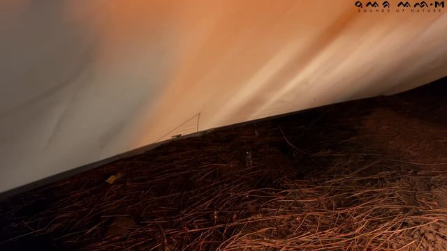 SOLO CAMPING IN RAIN WITHOUT A TENT • RELAXING SOUNDS OF NATURE • Rain ASMR