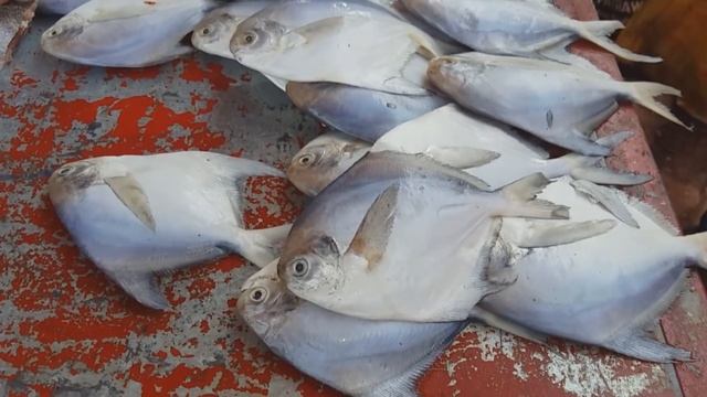 6 Индийская деревня. БАЗАР. ЧТО И ЗА СКОЛЬКО МОЖНО КУПИТЬ. Пробую экзотический фрукт смотреть онлайн