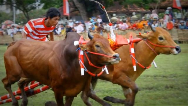 Java Island of Indonesia смотреть онлайн