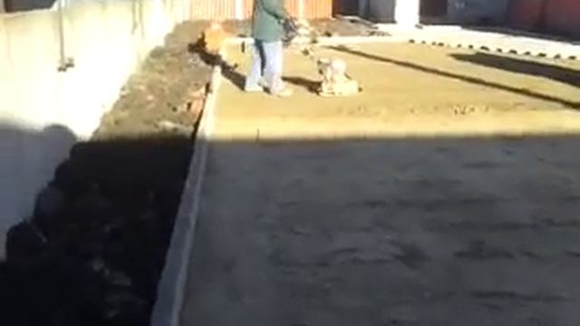 тротуарная плитка, подготовка основания виброплитой смотреть онлайн