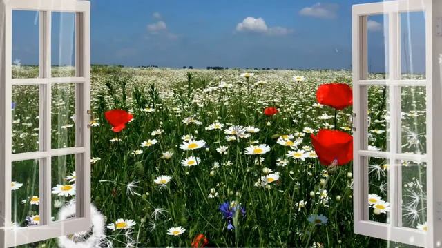 зайчик солнечный смотреть онлайн