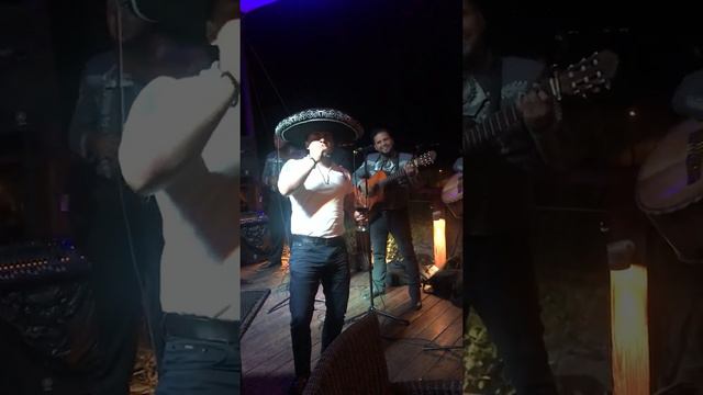 Mariachi caballero y Nelvin Liberato смотреть онлайн