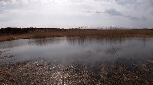 Плотва пошла!!! Ловля плотвы на поплавочную удочку весной!!!