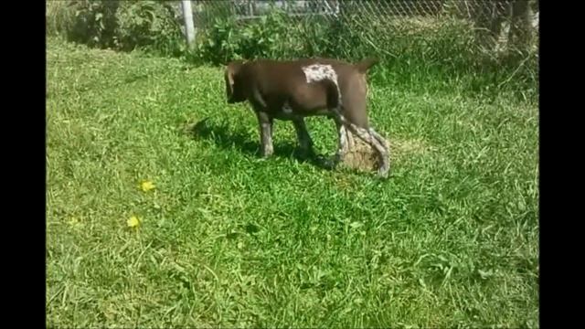 Первая стойка