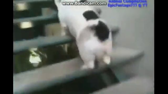 Смех до слез. смотреть онлайн