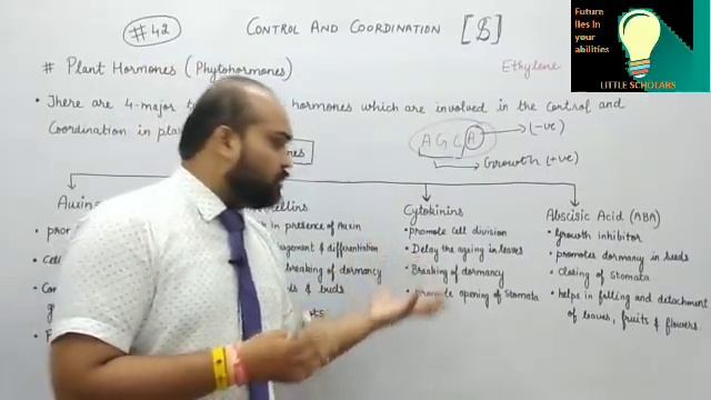 #42 Control and Coordination: Class 10 смотреть онлайн