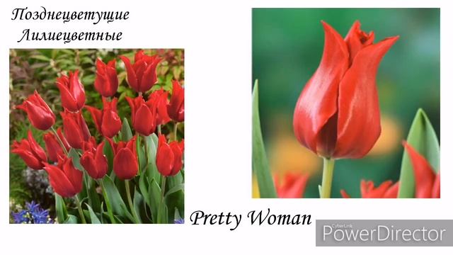 Влоги с Путешествиями