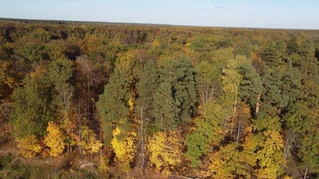 р.Клязьма р.Нерль Природа Рыбалка Смотри Сверху... смотреть онлайн