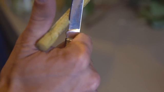 Флористика в деталях от Меликова Низама. Блог флориста смотреть онлайн