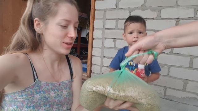 ГОТОВЫ ДОКУМЕНТЫ НА РАЗВОД! МОЖНО ЕХАТЬ В ЗАГС! Семейный деревенский влог. Семья в деревне смотреть онлайн