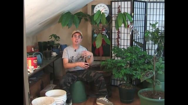 Best Indoor Growing Tips! смотреть онлайн