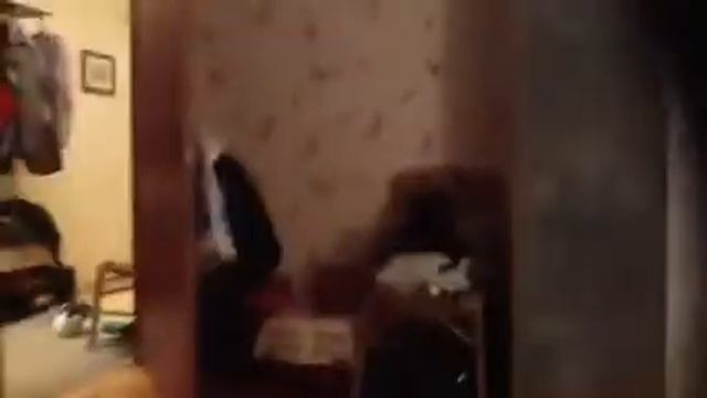 Коши смотреть онлайн