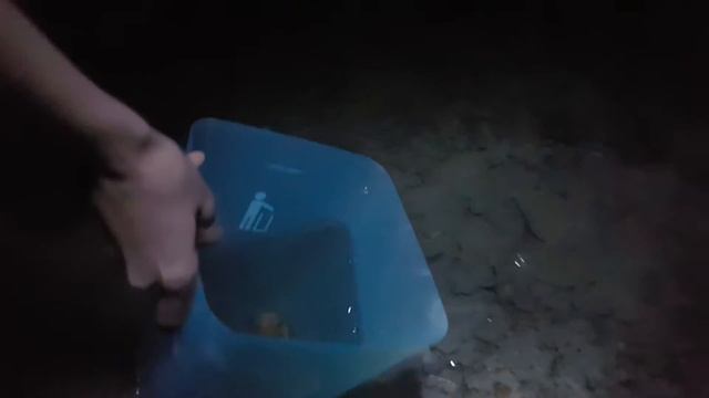 Отлив. Пассатижи или краб. Скат. Барракуда. Ожидают прилива. смотреть онлайн