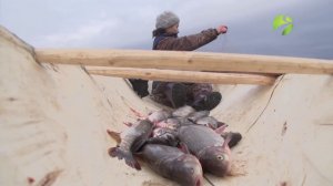 C полем! "Хозяйка тайги" Часть 1