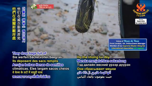 1473 PE The Importance of Ocean Plants to the Climate Crisis смотреть онлайн