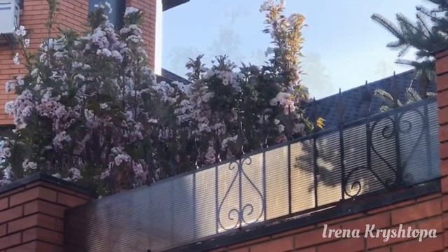Стихи о жизни! Жить, любить и этим наслаждаться! смотреть онлайн