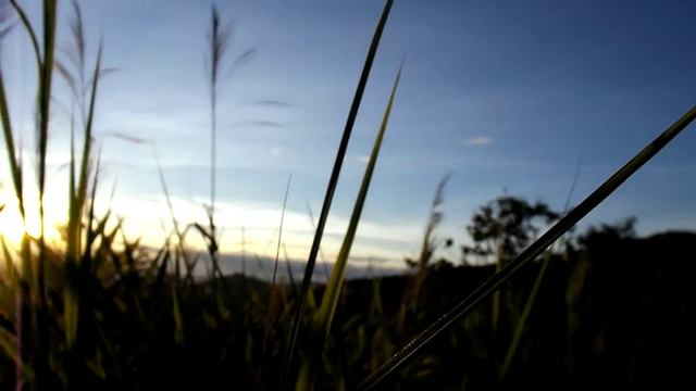 ทดสอบ Video Test Fujifilm Finepix s4800 + Zoom x30 смотреть онлайн