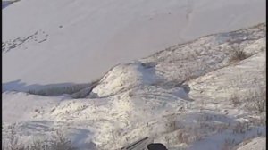 Охота на зайца, лучшие моменты - трех подстрелили..