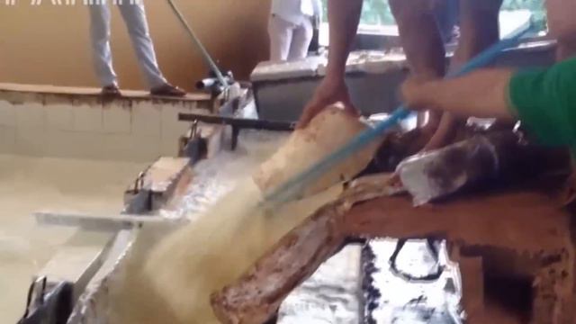 Dunyodagi Eng Antiqa Daraxtlar смотреть онлайн