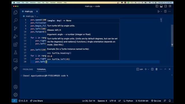 How to Make a Heart with Turtle in Python | Not-So-Pro Python Tutorials смотреть онлайн