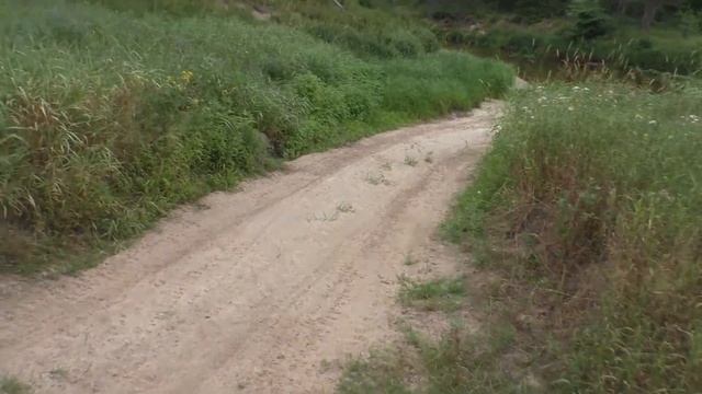 Из Клязьмы в Полю и обратно, июль 2022 смотреть онлайн