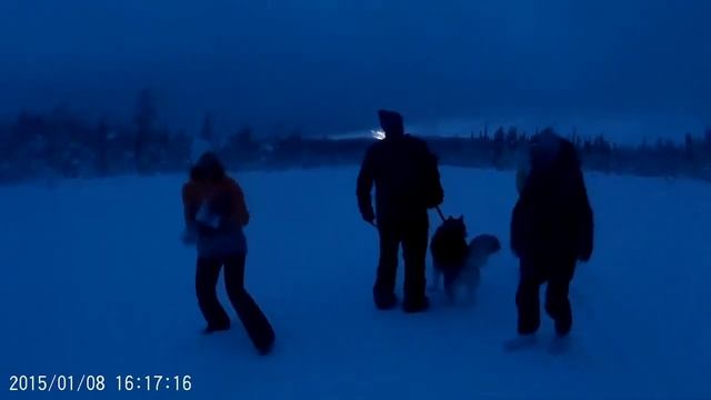 Приключения в Yllas смотреть онлайн