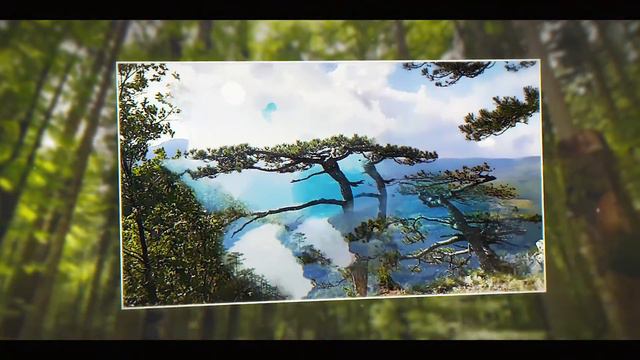 Tara National Park - Serbia смотреть онлайн