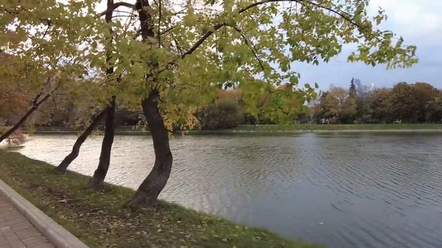 Наследование активов. Как я составил завещание акций, облигаций и недвижимости