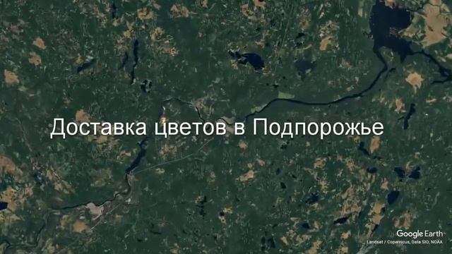 Доставка цветов в Подпорожье - Заказ букетов от компании Скорая подарочная помощь смотреть онлайн