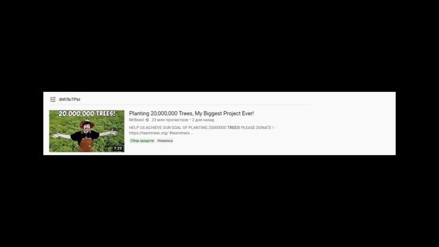 Teamtrees - scam or real project? Should you believe in Team Trees? смотреть онлайн