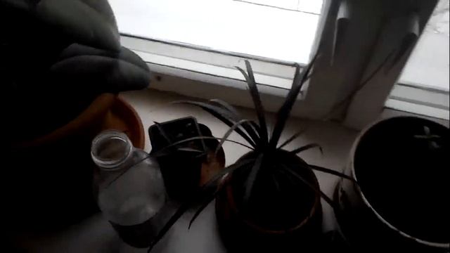 Zenfone 6 camera test камера тест 2 смотреть онлайн