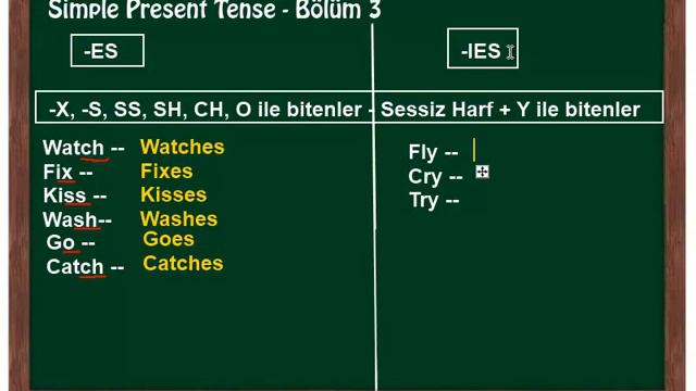 İngilizce Dersi 29 - Simple Present Tense (Bölüm 3-A) смотреть онлайн