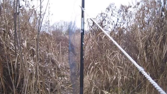 Trapping Of Wren